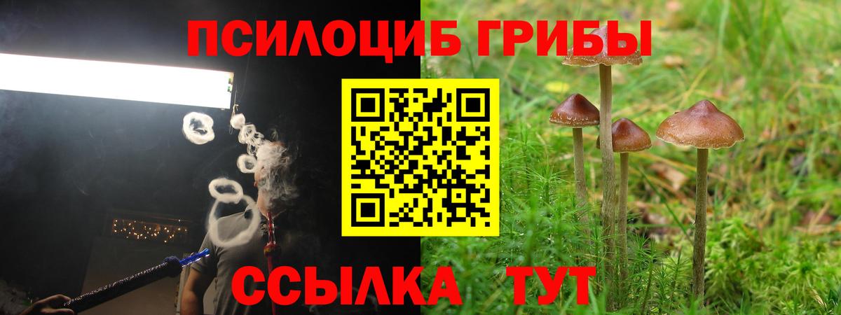 Галлюциногенные грибы Magic Shrooms  Вход с VPN  Псилоцибиновые грибы ЛСД  Рубцовск 
